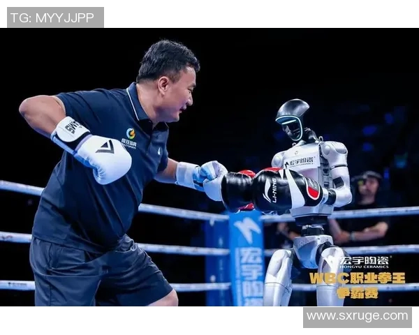 争夺WBC世界冠军的荣耀之路与挑战者的奋斗历程