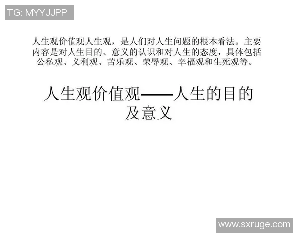 张帆的奋斗历程与成长故事探寻人生的意义与价值