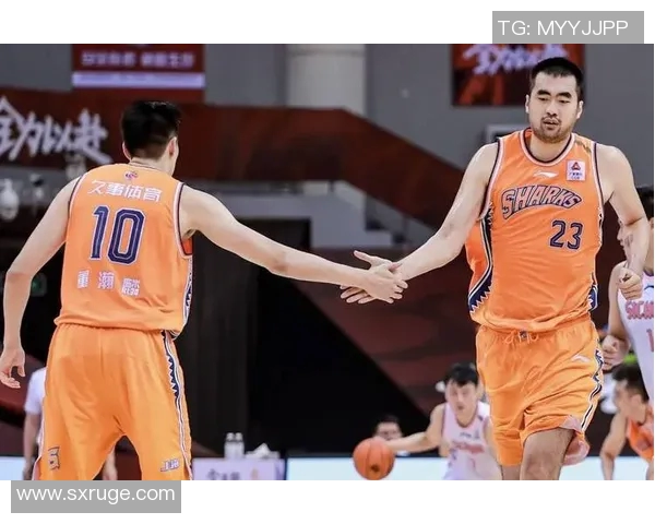 张兆旭的篮球之路：从青涩少年到职业赛场的辉煌历程与心路历程