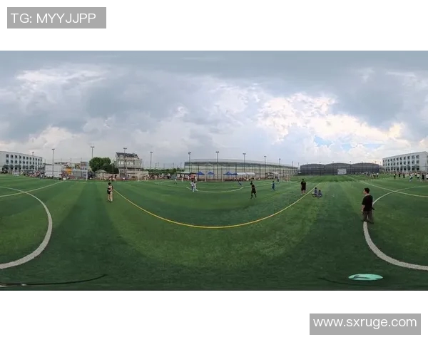 波黑与摩尔多瓦足球对决分析及赛前预测全景解析 波黑与摩尔多瓦足球对决分析及赛前预测全景解析