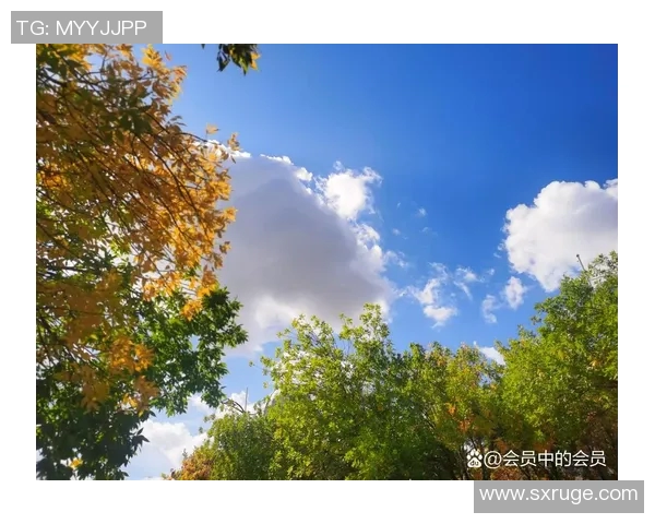 常林的奋斗历程与篮球梦想如何交织成辉煌人生的篇章