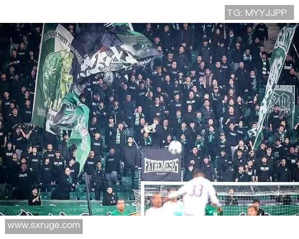 国安与首尔比赛地点揭晓让我们一起期待这场精彩对决 国安与首尔比赛地点揭晓让我们一起期待这场精彩对决