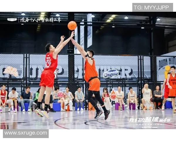 勇士与尼克斯激战回顾：2016年2月1日的篮球盛宴与精彩瞬间